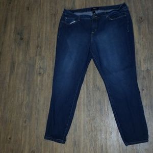 Torrid Jeans